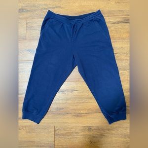 Patagonia. Worn Wear Sweatpants. Size: Large.